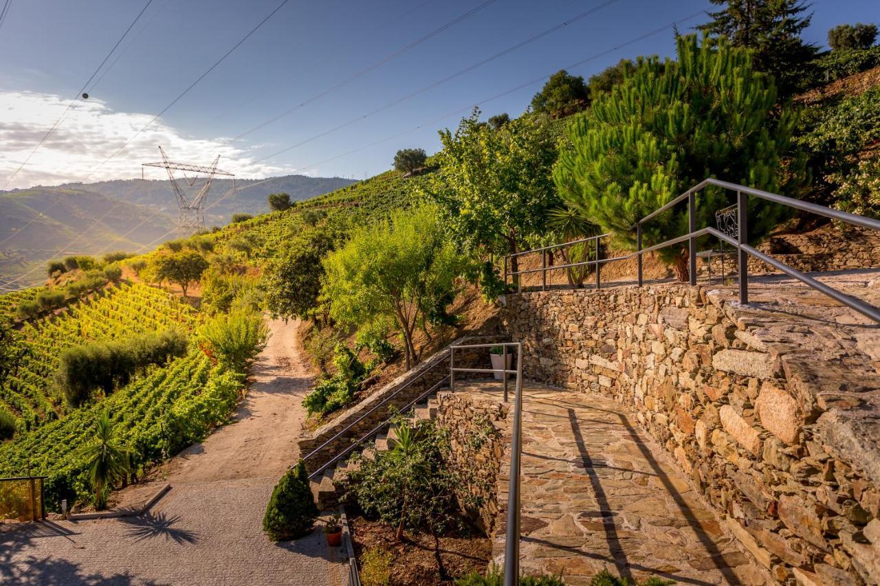 Quinta Da Portela Douro Armamar Zewnętrze zdjęcie